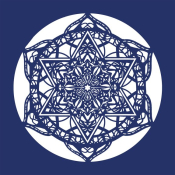 flower star mandala papercut