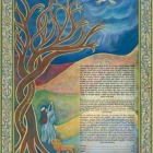 Midnight Sky Ketubah